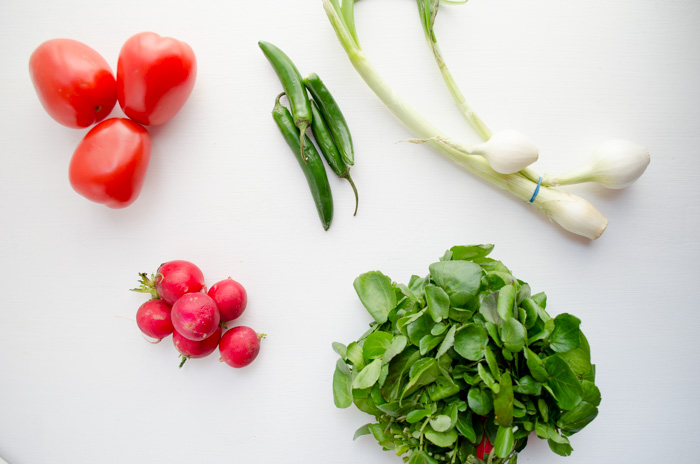 Tomatoes, serrano chiles, radishes, green onion and watercress on white table.