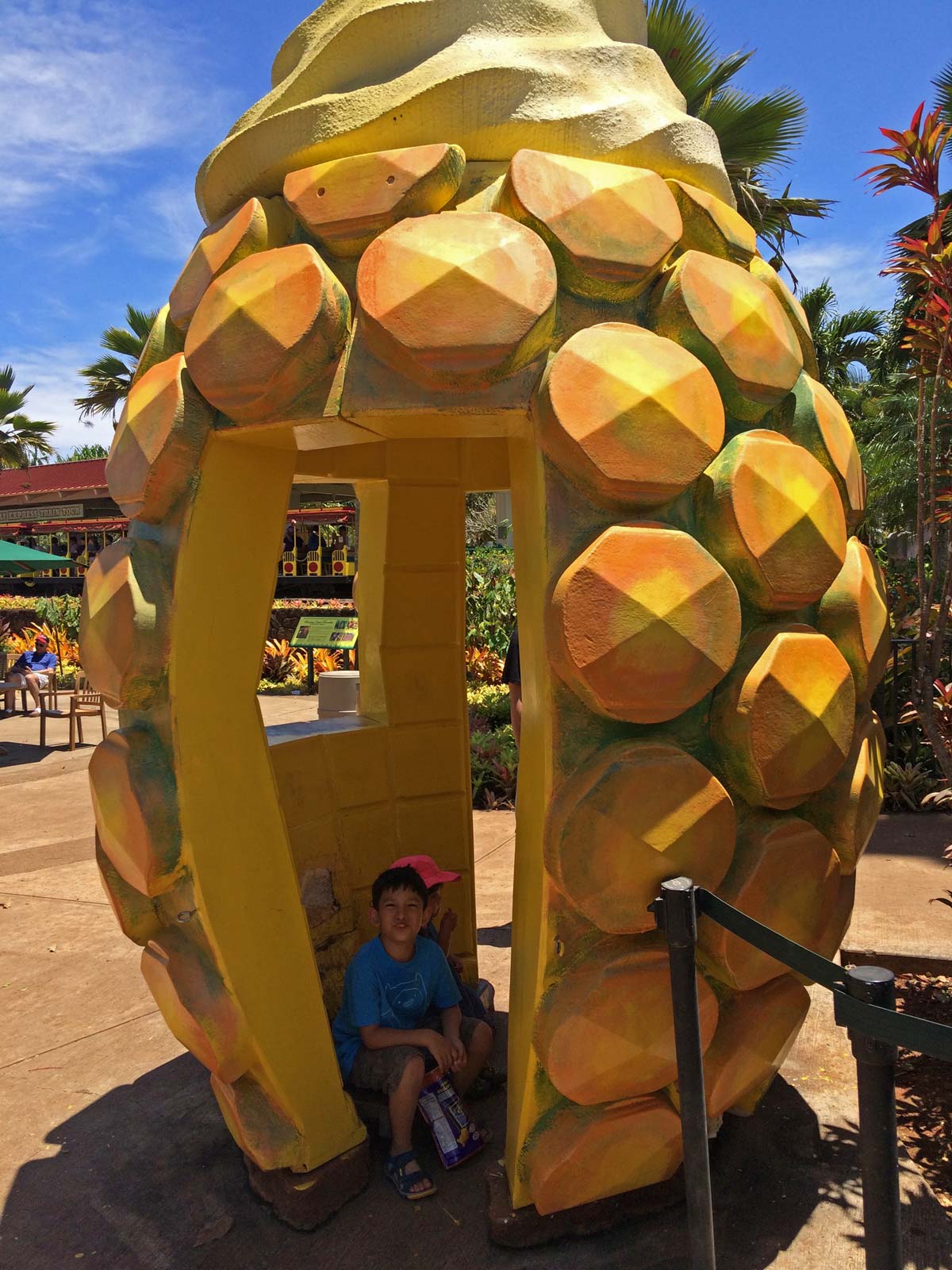 Dole Pineapple Plantation