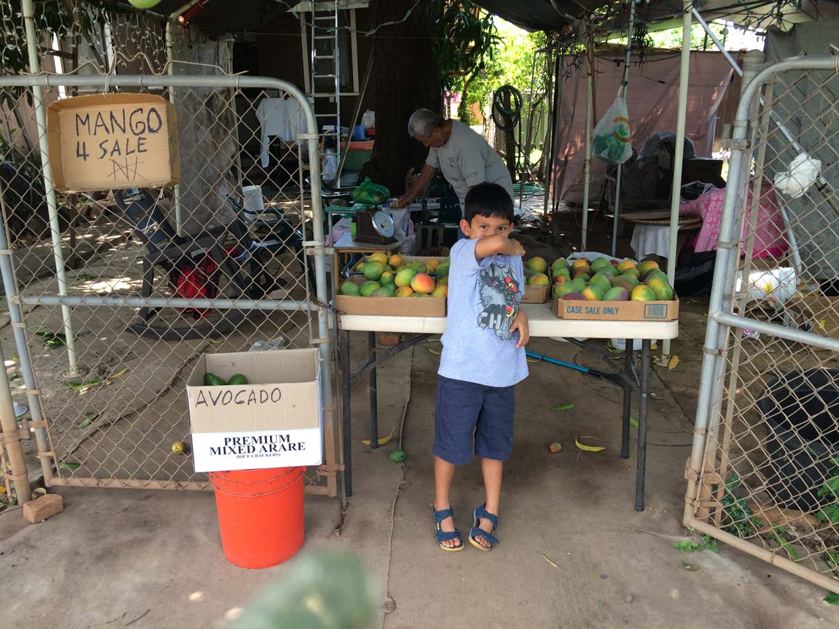 A boy selling mangoes from a white folding table.