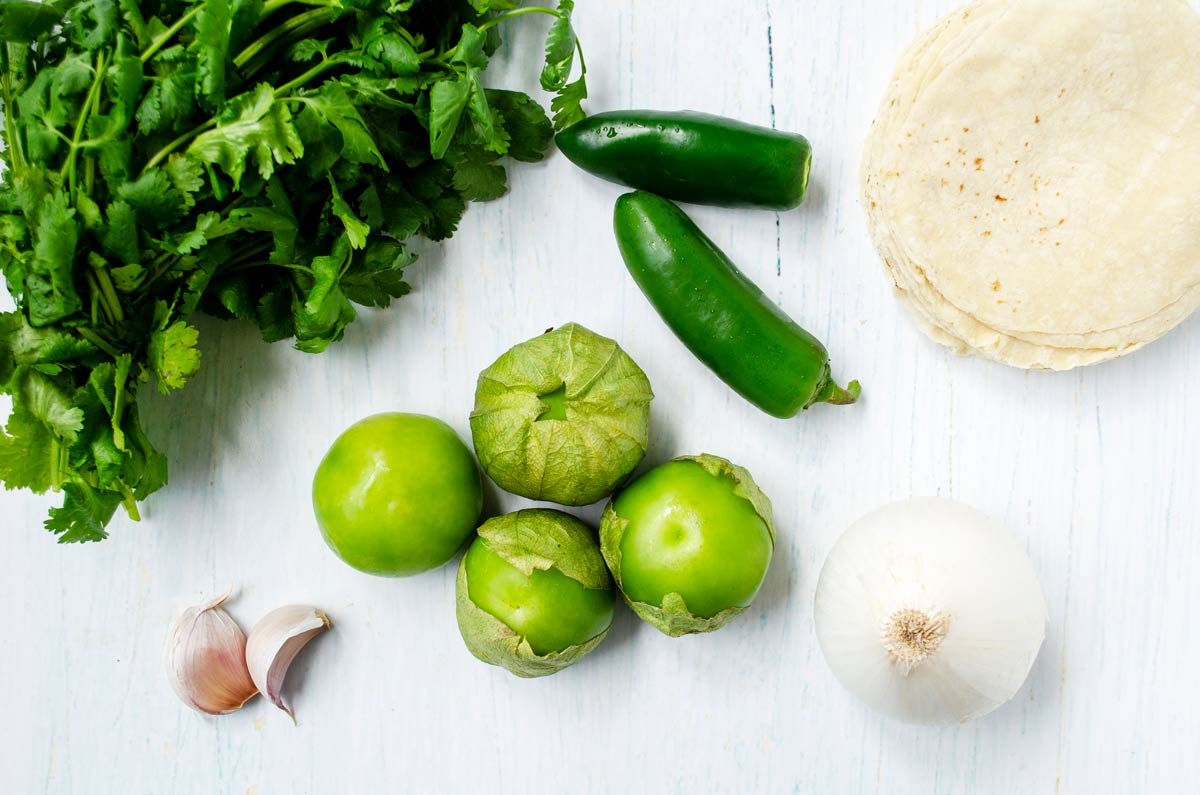 tortillas, tomatillos, onion, jalapeño, garlic and cilantro on a white background