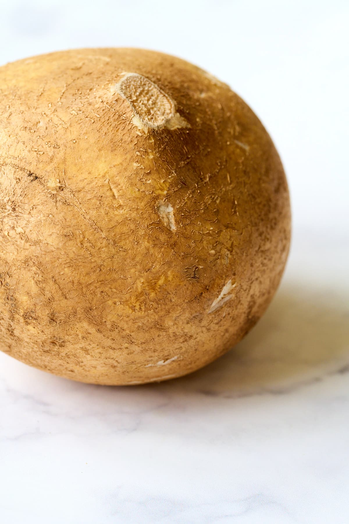 A large jicama on a marble surface.