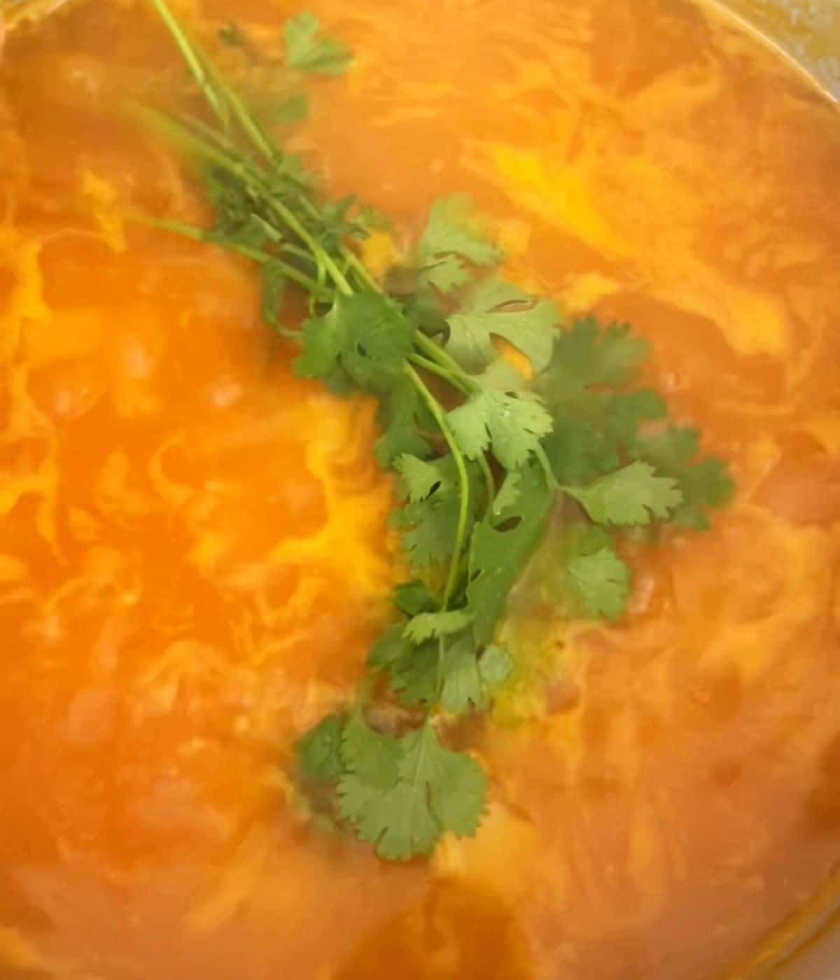 Cilantro springs in a tomato based soup.