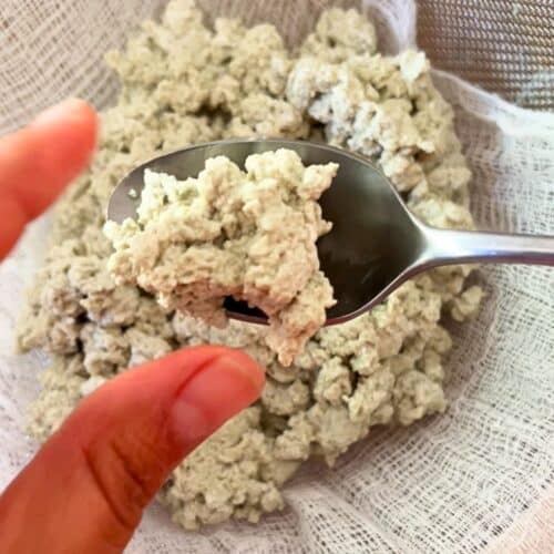 Pumpkin cheese on a spoon.